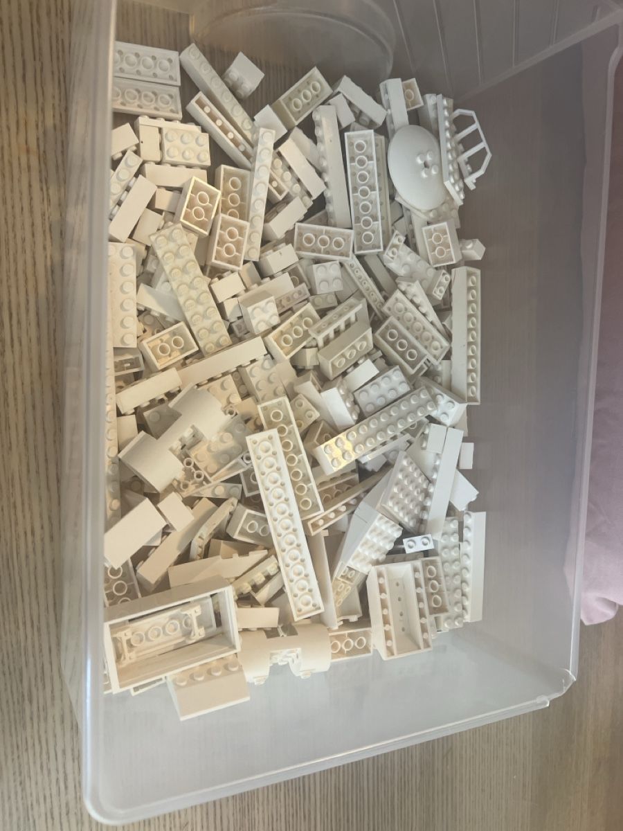 Lego Giocattoli: Bausteine weiss Konvolut gebraucht – Usato da Böckten venduto da fur_gh7q 1
