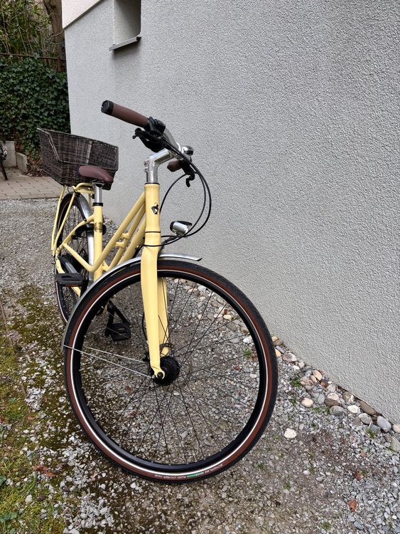 Cresta Largo Alto Gates Nexus 8 – Top Zustand, Korb (Gebraucht) in ...