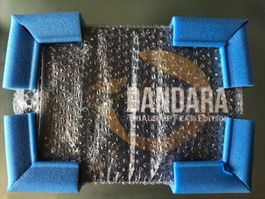 Dandara Trial of Fears Collector's