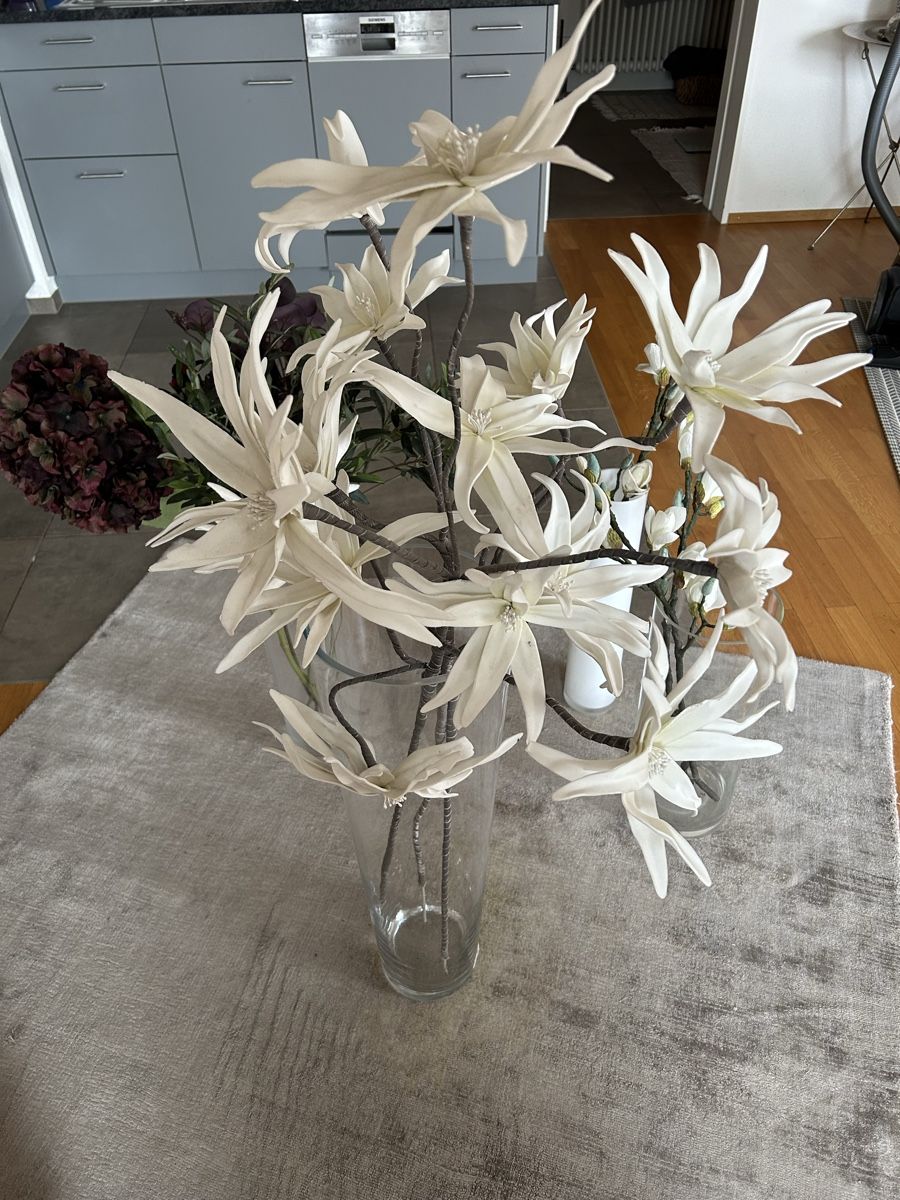 Tutte le decorazioni: Diverse künstliche Blumen gross – Usato da Fahrweid venduto da Mara36 6