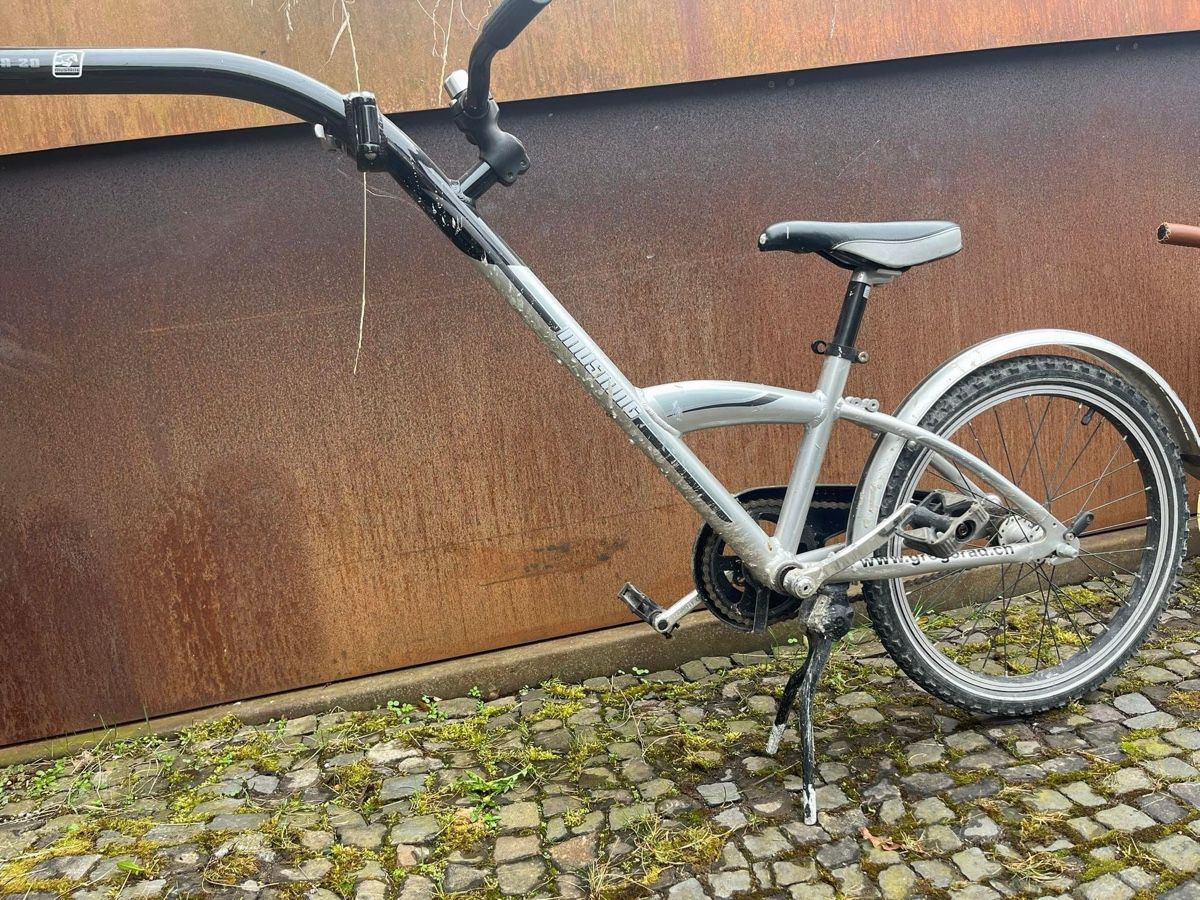 Vélos: Schattenvelo Mustang – D'occasion à Teufen AR par florianreiser 1
