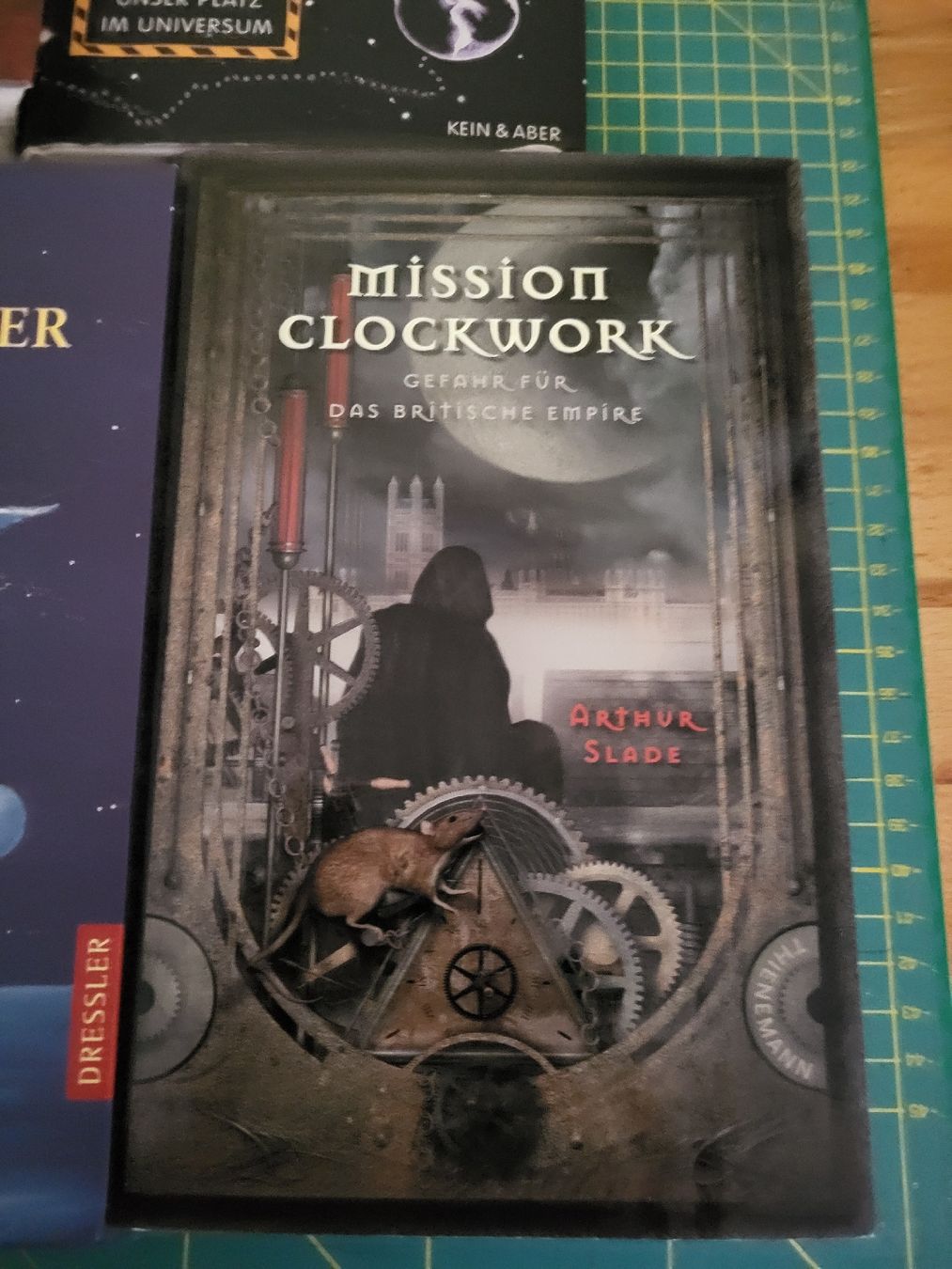 Libri: 8 Fantasybücher – Usato da Möriken AG venduto da Vandine 9