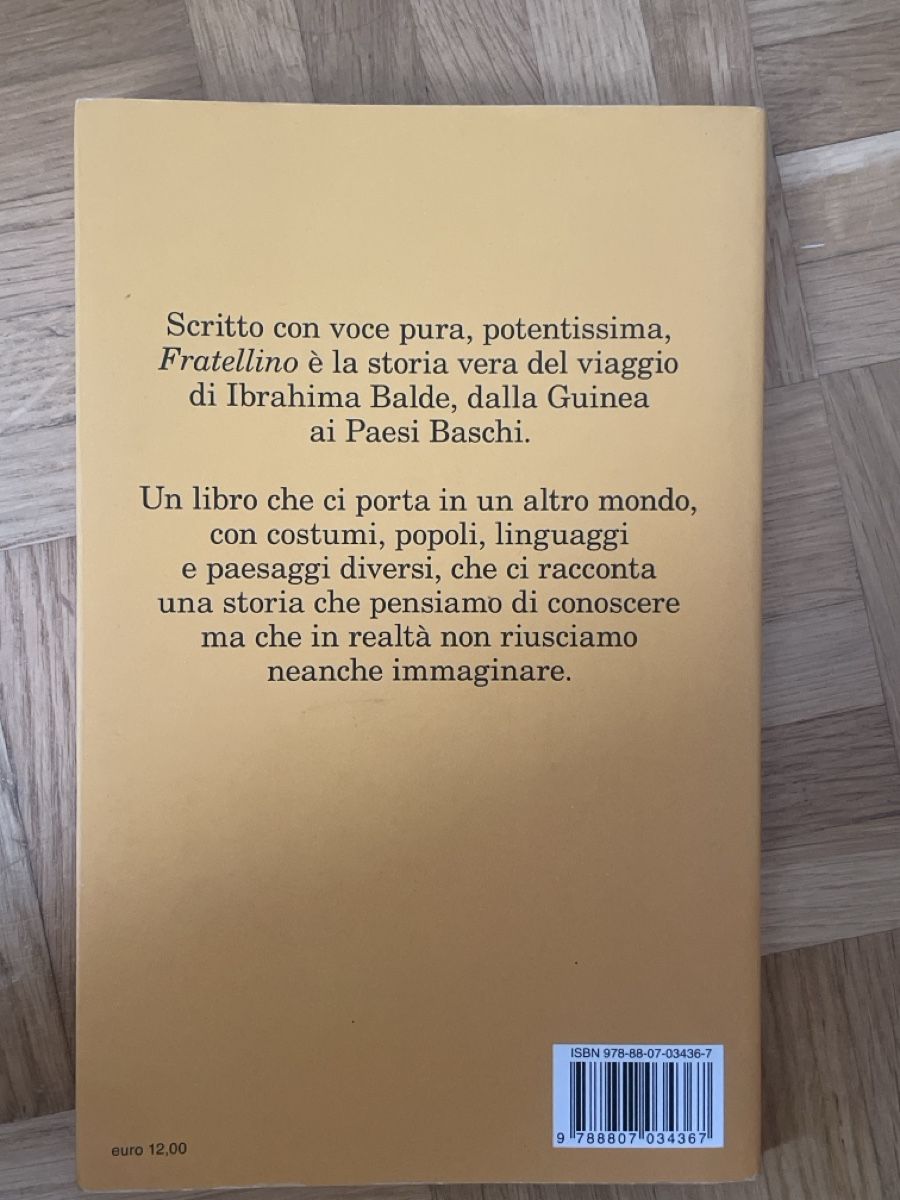 Bücher: Fratellino-Ibrahima Balde – Neu (gemäss Beschreibung) aus Zürich von David.zh 1