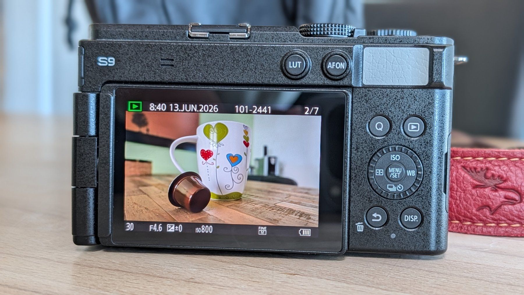 Panasonic Fotocamera: Lumix S9 – Usato da Menzingen venduto da S.F.T 1