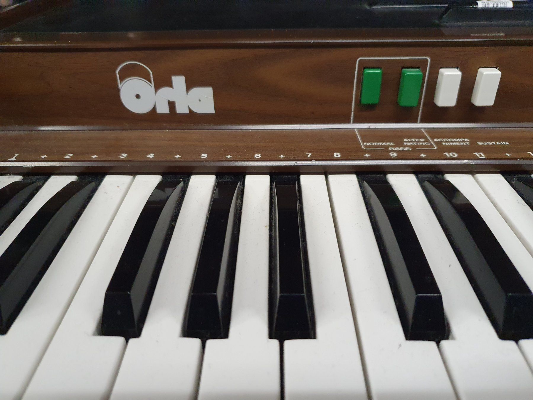 Instruments de musique: Orla Compact Orgel, P.R. 25 – D'occasion à Zollbrück par Murminum 4