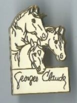 Plaquettes & Badges: Pferde, Georges Claude, Pin – D'occasion à Zürich par t24_de