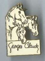 Pferde, Georges Claude, Pin