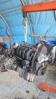 1.6l VW Golf 4 Motor