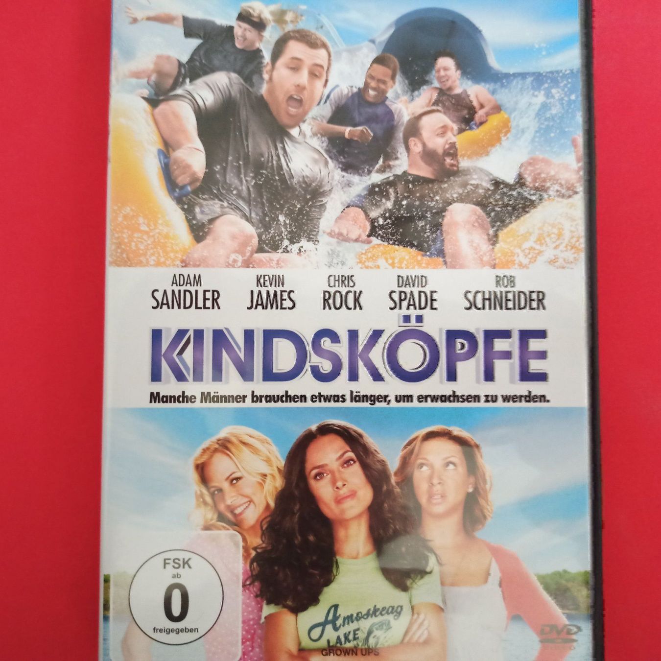 Tutti i DVDs: Kindsköpfe – Usato da Dübendorf venduto da kb86_MOVIE