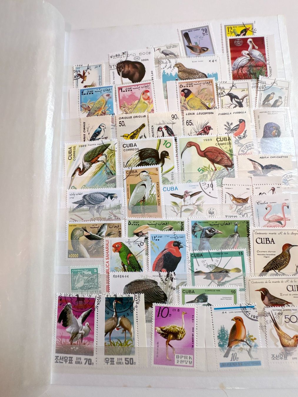 Tutti i francobolli: VOGEL BRIEFMARKE LOT – Usato da Riva san vitale venduto da abd_p86k 1