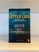 Little Lies - Megan Miranda