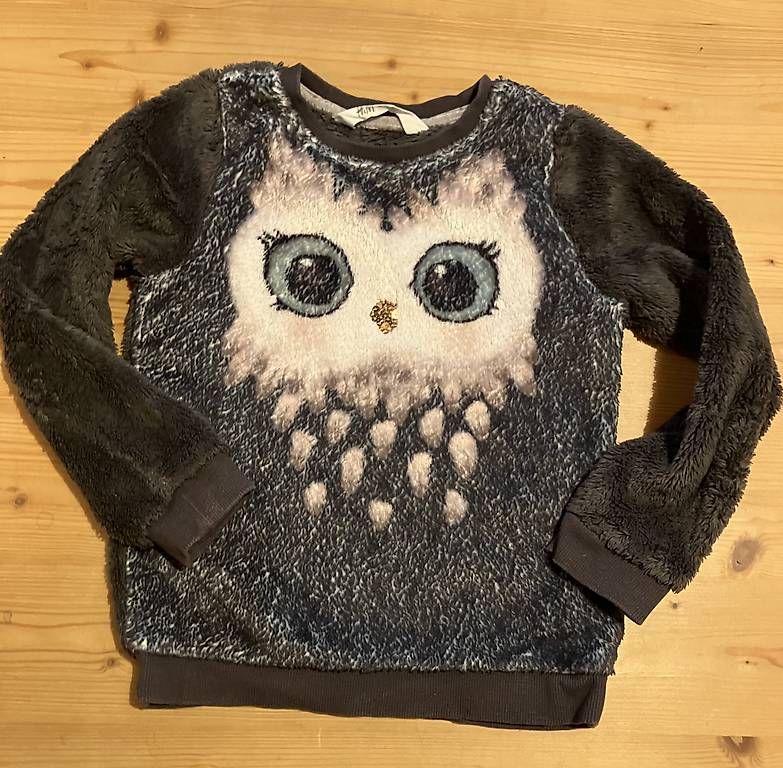 Pulls et sweat-shirts: Eulenpullover Gr.110/116 – D'occasion à Brunnadern par Bumlebee