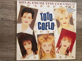 A823/Toto Coelo Milk From The Coconut