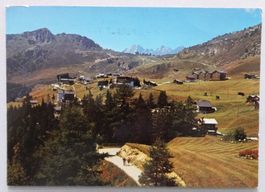 Riederalp 920 m, Walis