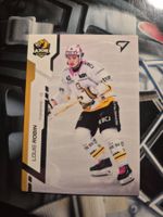 Louis Robin HC Ajoie Sportzoo 2024/25