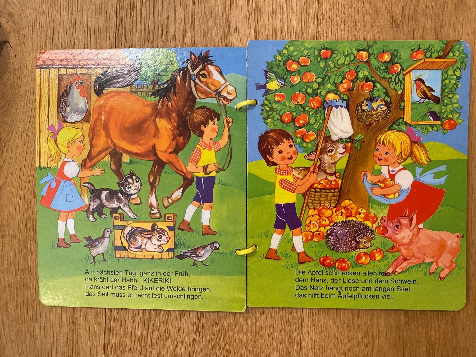 Libri: Kinderbuch Ferien auf dem Bauernhof – Usato da Raron venduto da cathy123 1