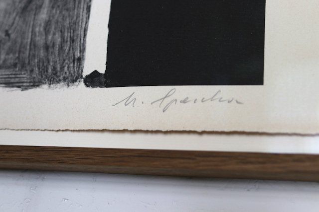 Grafica & Litografie: Matias Spescha Lithographie – Usato da Wetzikon ZH venduto da toyomtb 1