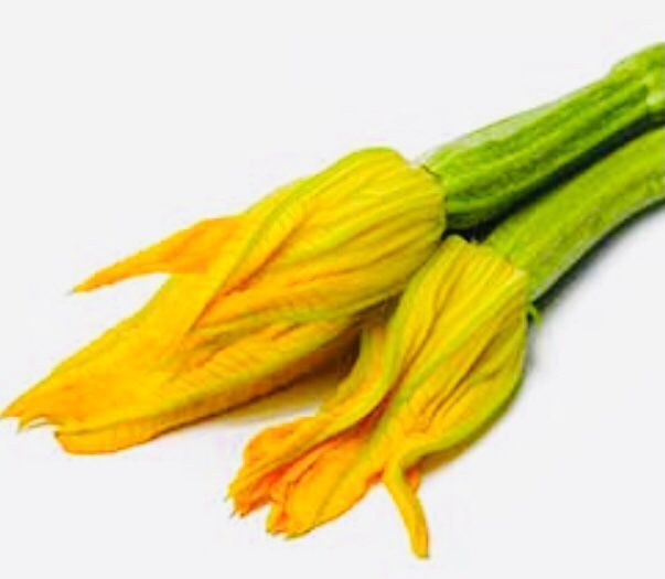 Pflanzen & Samen: Zucchini multi Blume XL 10 Samen – Neu und originalverpackt aus Rovio von POSITIFFARTandPLANTS 1