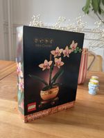 LEGO Botanicals Mini Orchidee 10343 mit Box Anleitung