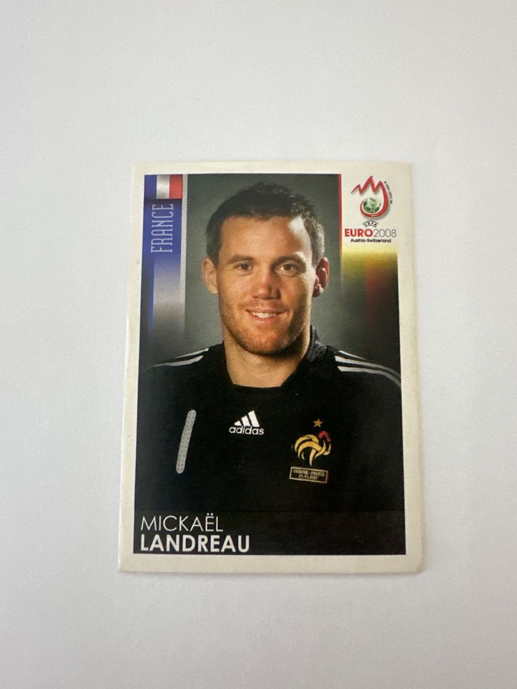 Panini Sammelbilder & Trading cards: Panini UEFA EM 2008 Sticker - Nr. 357 – Gebraucht aus Sulz AG von DealWerk