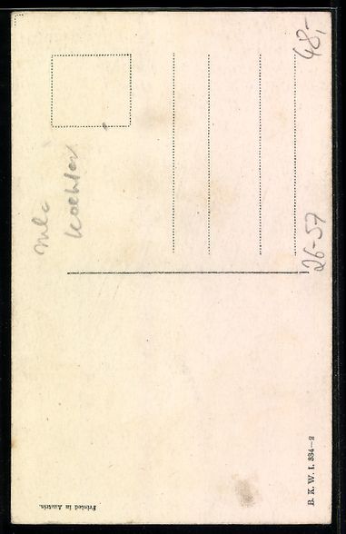 Cartoline postali: Mela Köhler: Dame im Kleid mit buntem S – Usato da Berlin venduto da bartko-reher 1