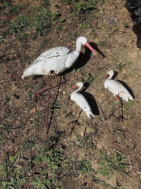 Tutte le decorazioni: Gartendeko sucht neues Zuhause  – Usato da Kirchdorf AG venduto da Dnedi