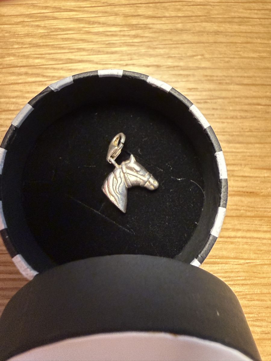 Thomas Sabo Ciondoli: Thomas Sabo Pferdekopf Charm – Usato da St. Gallen venduto da lau_5ffy