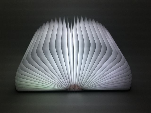 Lampade: Buchlicht – Nuovo e nell'imballaggio originale da Richterswil venduto da Psaegi0