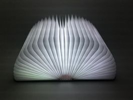 Buchlicht