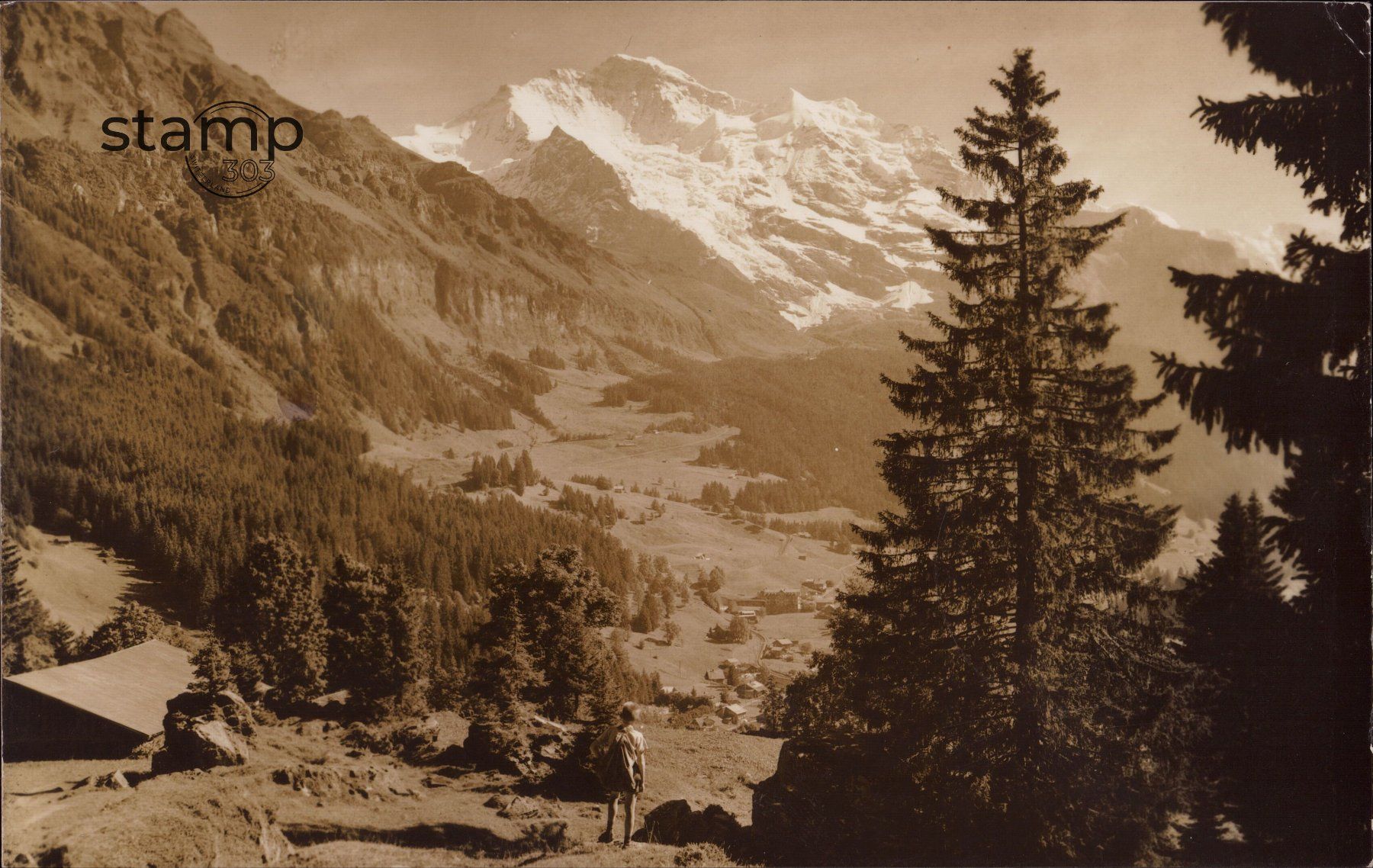 Ansichtskarten: 1959 AK Wengen _ Jungfrau – Gebraucht aus Eggersriet von stamp303