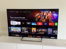 Sony 4K Smart-TV 55 Zoll gebraucht mit Standfuss