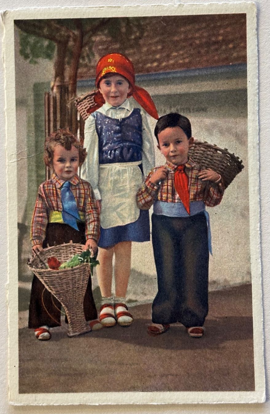 Cartoline postali: Tessin, Trachten, Costumi, Kinder – Usato da Frauenfeld venduto da Merk52