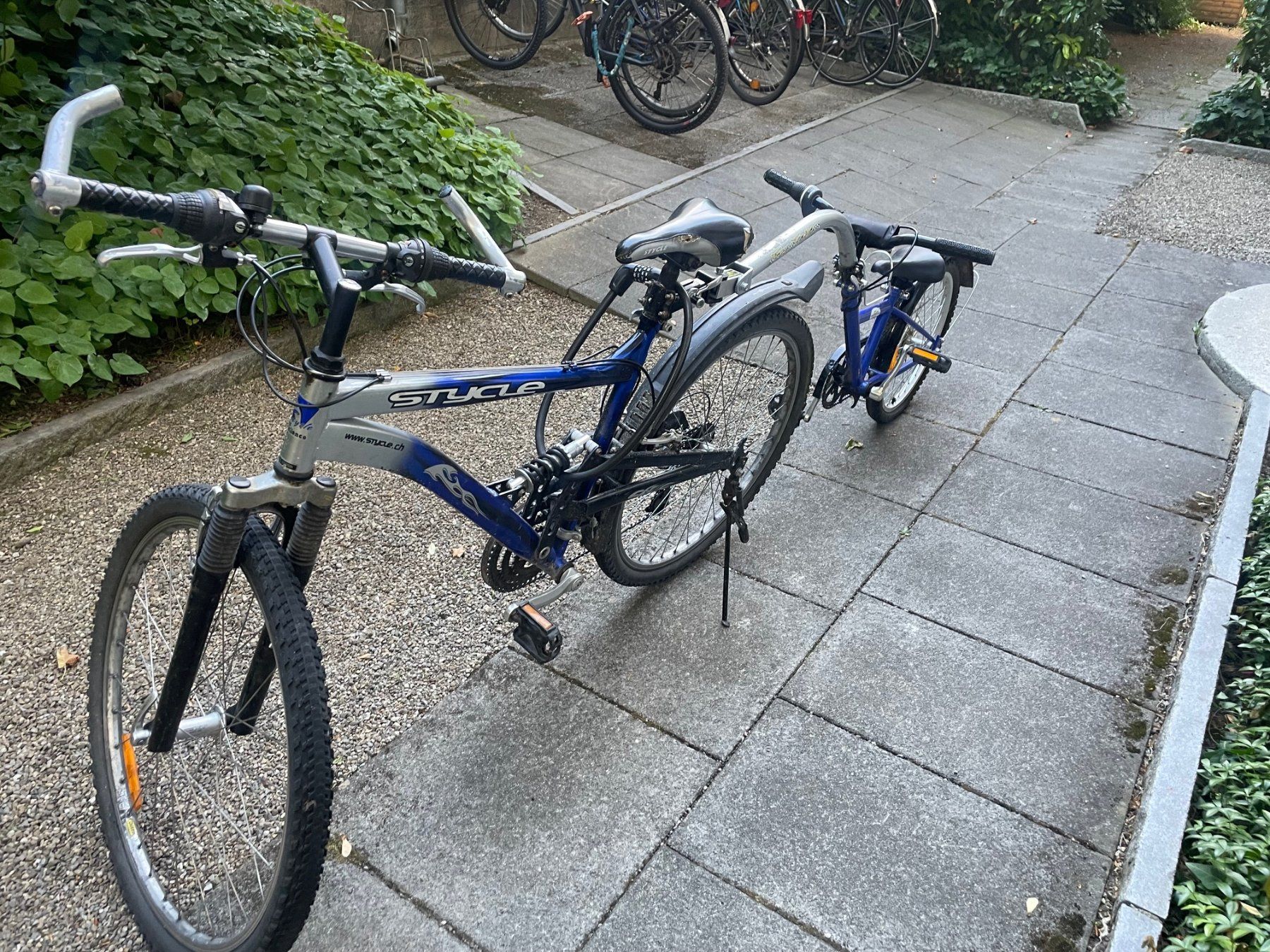 Biciclette: Schattenvelo – Usato da Zuerich venduto da Victor74