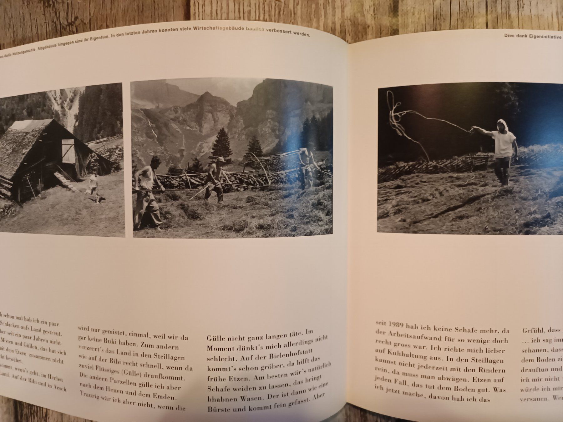 Libri: Eigentlich wollen wir ja hier bleiben Schürmann – Usato da Reiden venduto da Zofi-Brocki 3