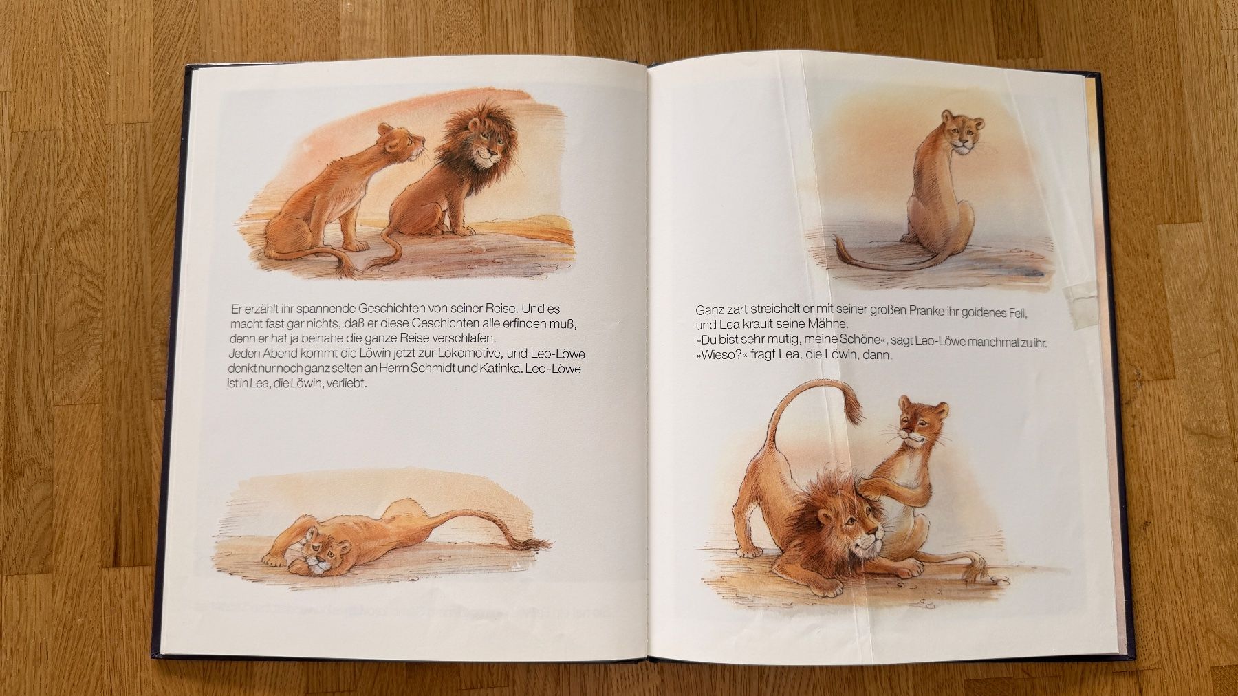 Libri: Buch - Leo Löwe – Usato da Winterthur venduto da Secondhand-Family 6