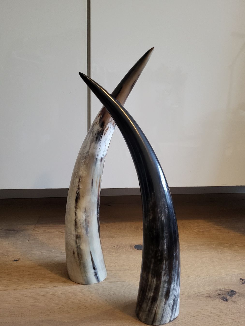 Tutte le decorazioni: Kuhhorn – Usato da Stalden (Sarnen) venduto da Wolfs_Feder