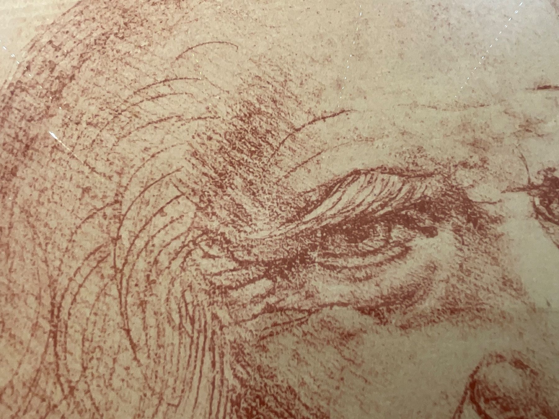 Foto & Immagini: Kunstdruck Leonardo da VinciSelbstportrait ca. 45 x 32cm – Usato da Basel venduto da elster1986 2