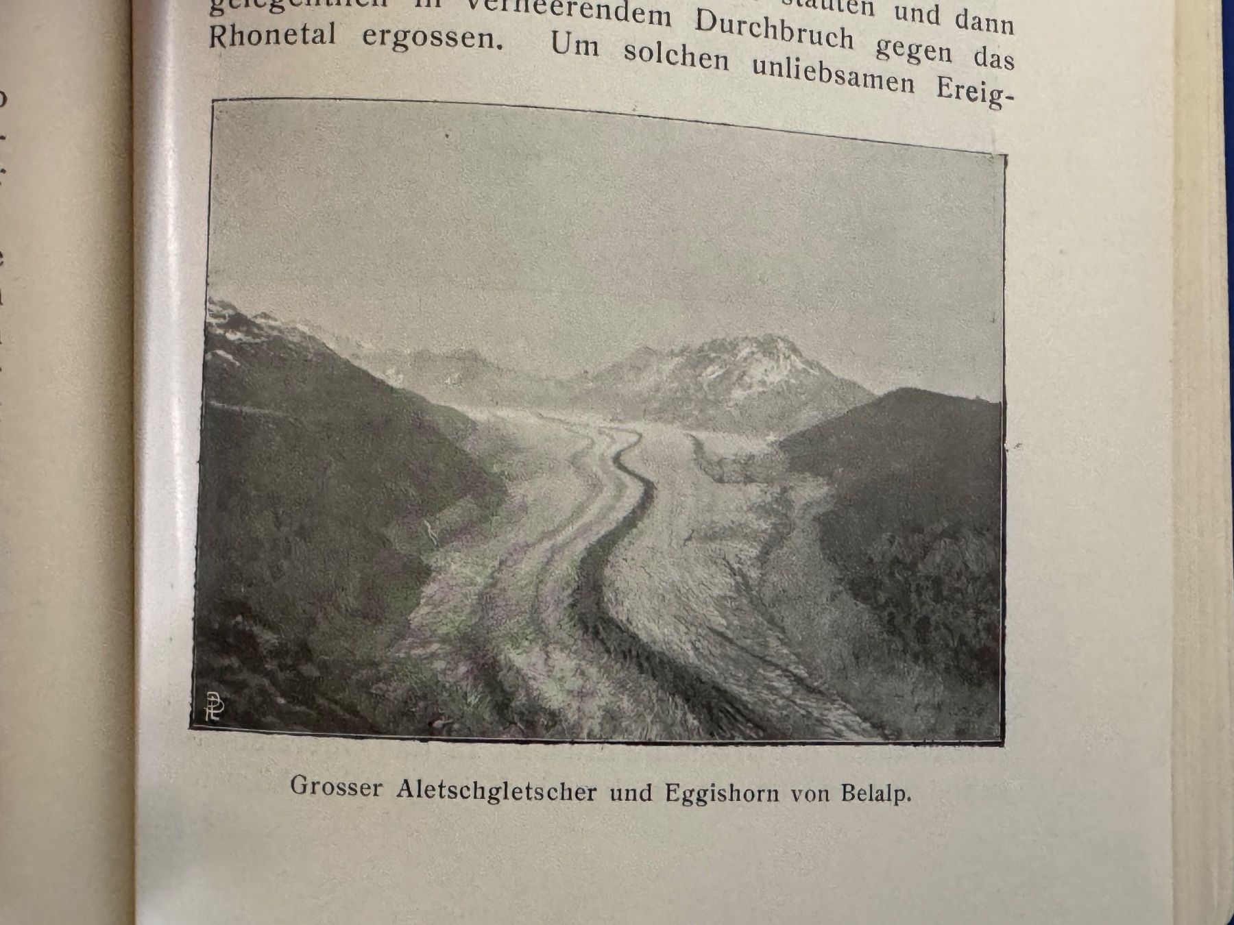 Libri: Täuber - Die Berner Hochalpen. 1906 – Usato da Adliswil venduto da buch_und_kunst 3