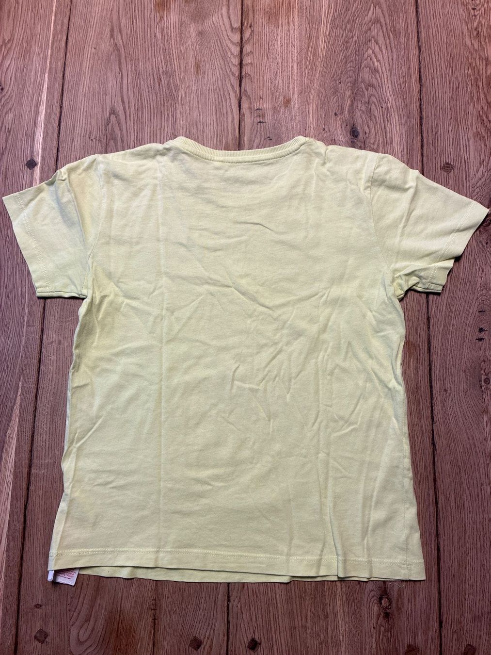 Hemden, T-Shirts & Polos: Kinder T-Shirt hellgrün Grösse 134/140 – Gebraucht aus Guntershausen von Gloominati 2