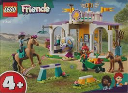 LEGO FRIENDS 41746 ADDESTRAMENTO EQUESTRE  new