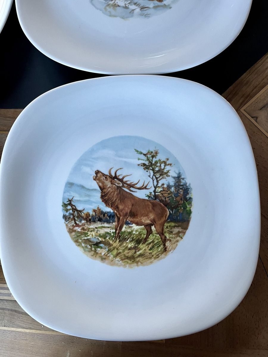 Couverts: Tafel Set Jagd Wild – Neuf (Voir description) à Wittenbach par sambuk 5