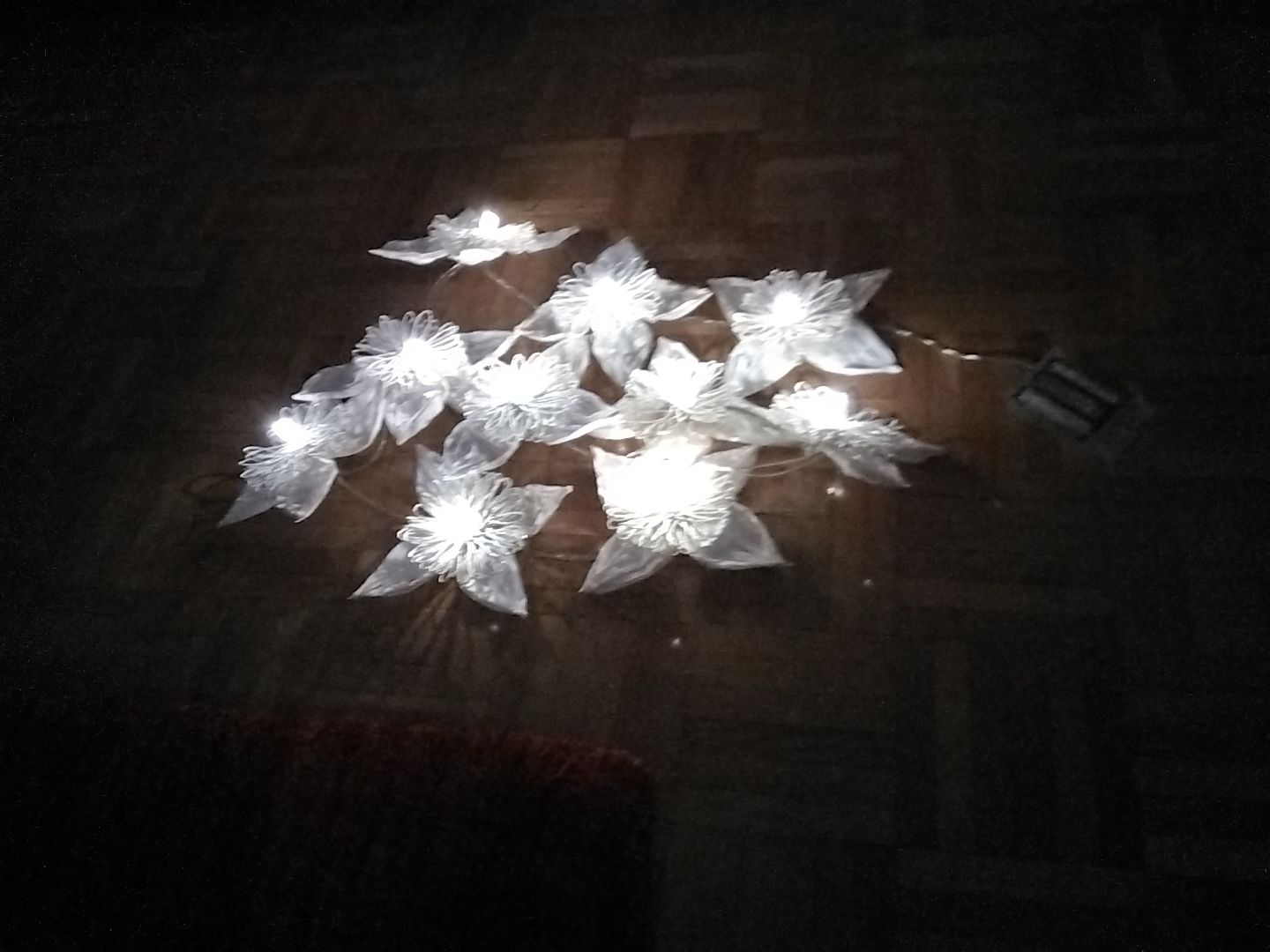 Lichterketten & Leisten: Lichterkette Blumen – Neu (gemäss Beschreibung) aus Biel/Bienne von dasi3 1