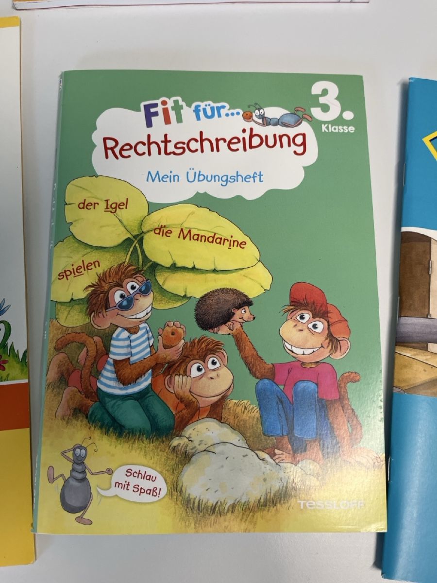 Bücher: Deutsch Lehrmittel 3. Klasse – Gebraucht aus Wolhusen von Sammler16 5