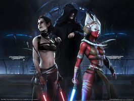 Star Wars The Force Unleashed  Entfessle die Macht   Wii