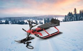 Lenkschlitten Rot bis 75kg