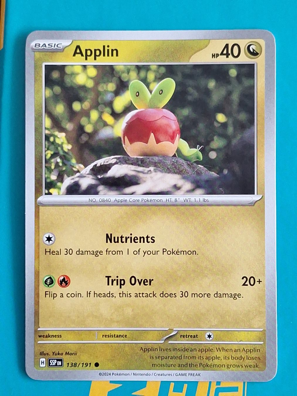 Pokémon Carte collezionabili: Applin - Pokemon Surging Sparks – Usato da Altstätten SG venduto da GGsGameshop