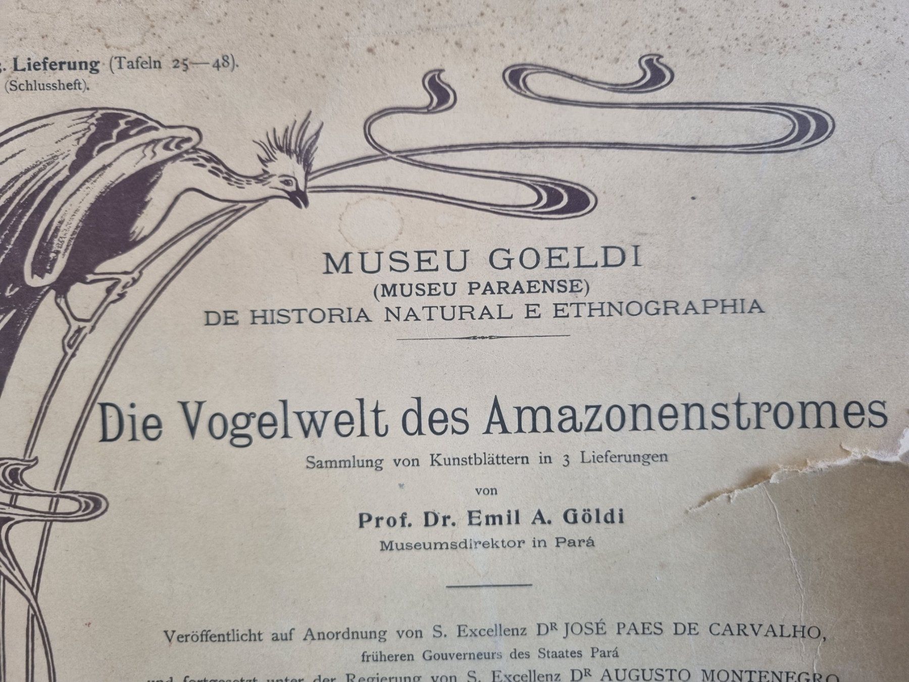Libri: Vogelwelt des "Amazonas", Emil August Göldi, 3.Fasc.1906 – Usato da Lenzburg venduto da freedomky 1