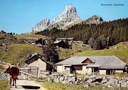 Ansichtskarten: 3 x AK BRAUNWALD mit Eggstöcke, Bahn, Haus Bergfrieden – Gebraucht aus Jona von philajona