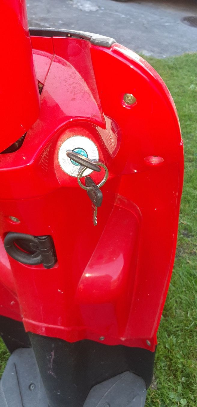 Veicoli elettrici: Vespino – Usato da Walenstadt venduto da Wildhuepfer 3