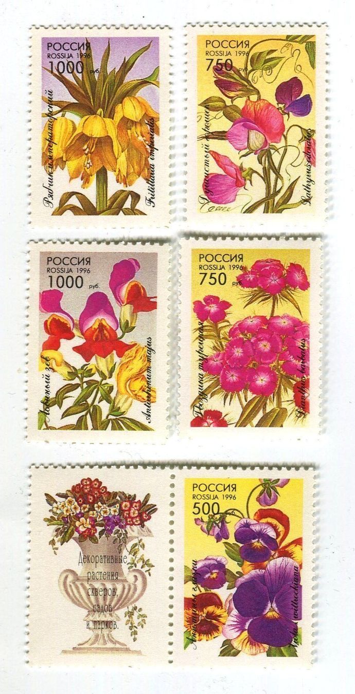 Tutti i francobolli: Briefmarken "Blumen". Russland. – Nuovo e nell'imballaggio originale da Basel venduto da Butsch5